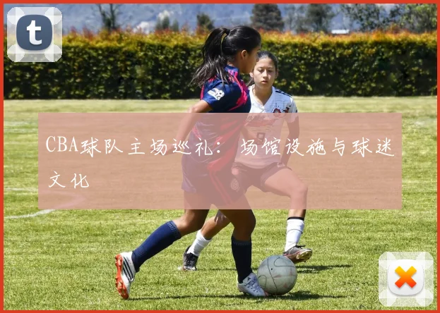 CBA球队主场巡礼:场馆设施与球迷文化