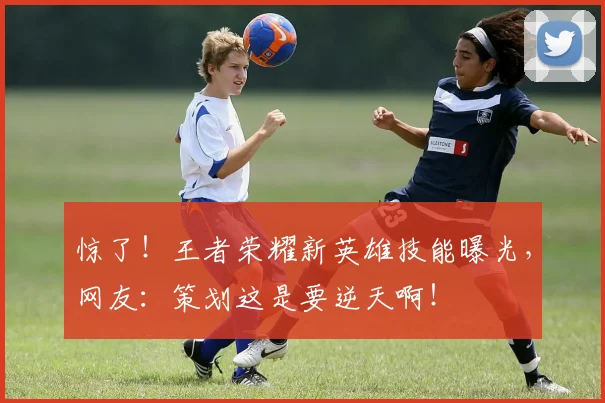 惊了!王者荣耀新英雄技能曝光,网友:策划这是要逆天啊!