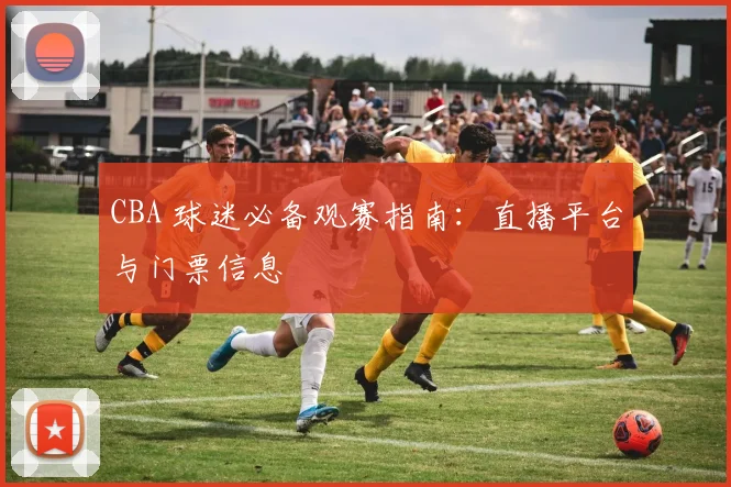 CBA 球迷必备观赛指南：直播平台与门票信息