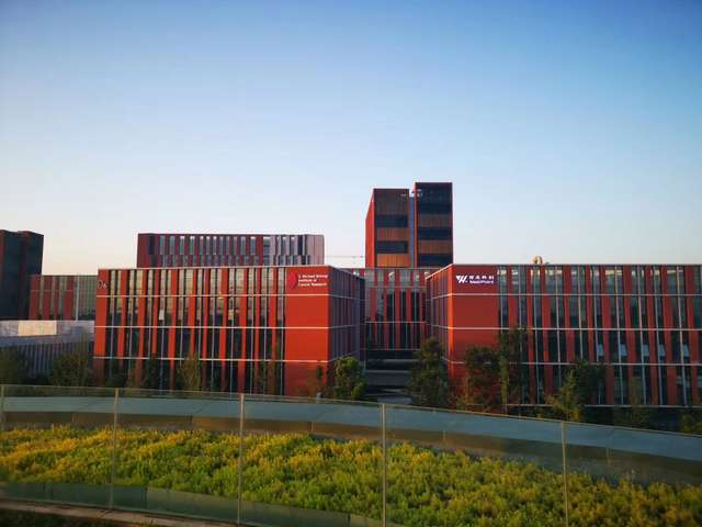 青岛宿务CEBU国际物流海运空运